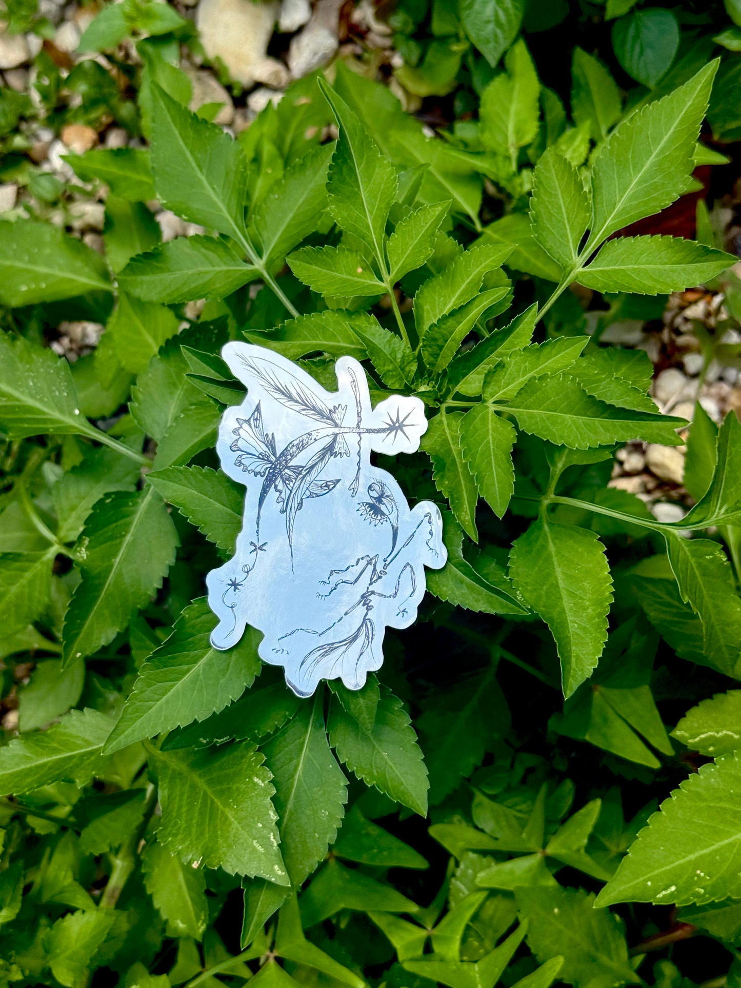 Fairy Bugs sticker