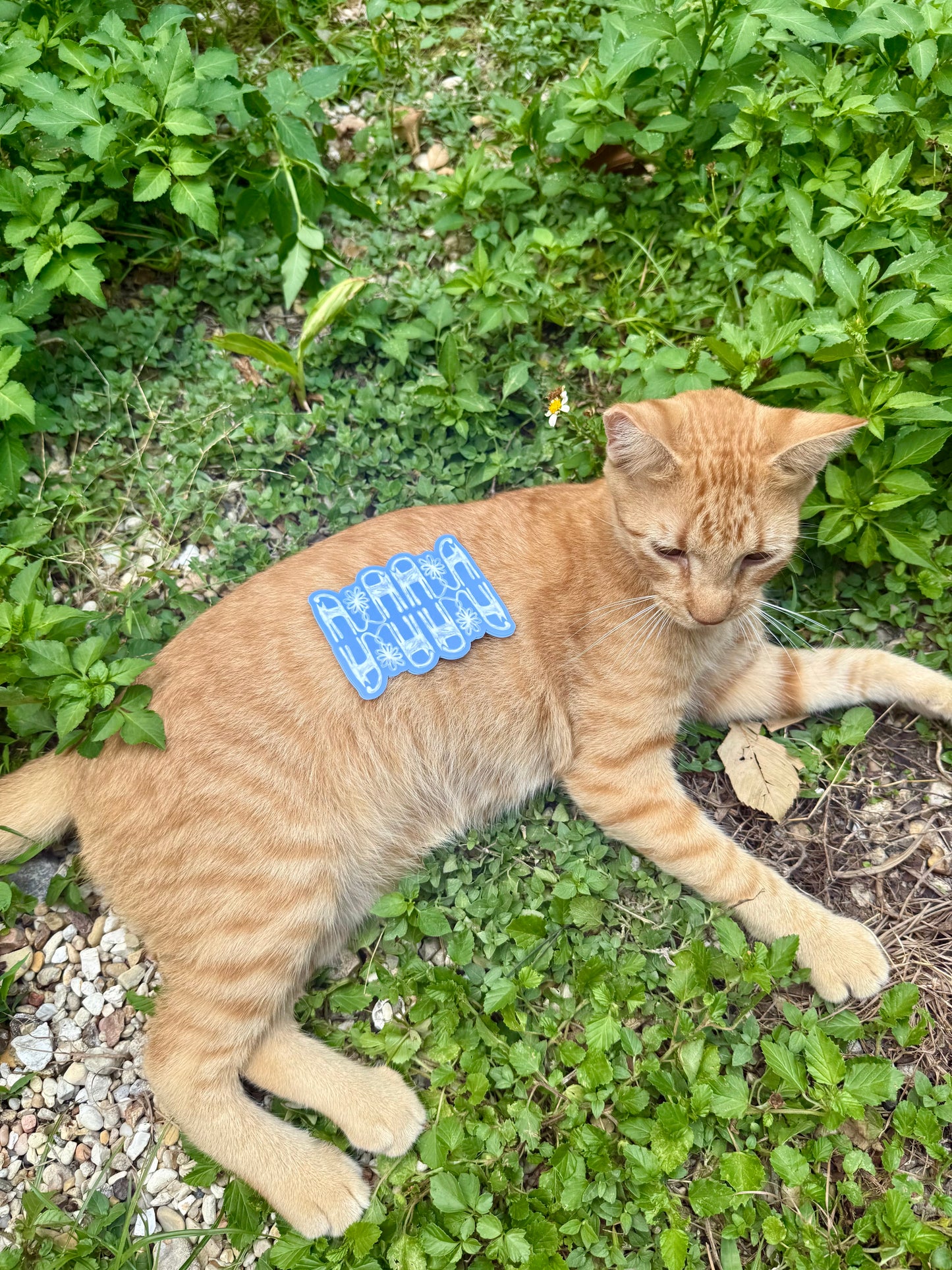 Kitty Bloom sticker