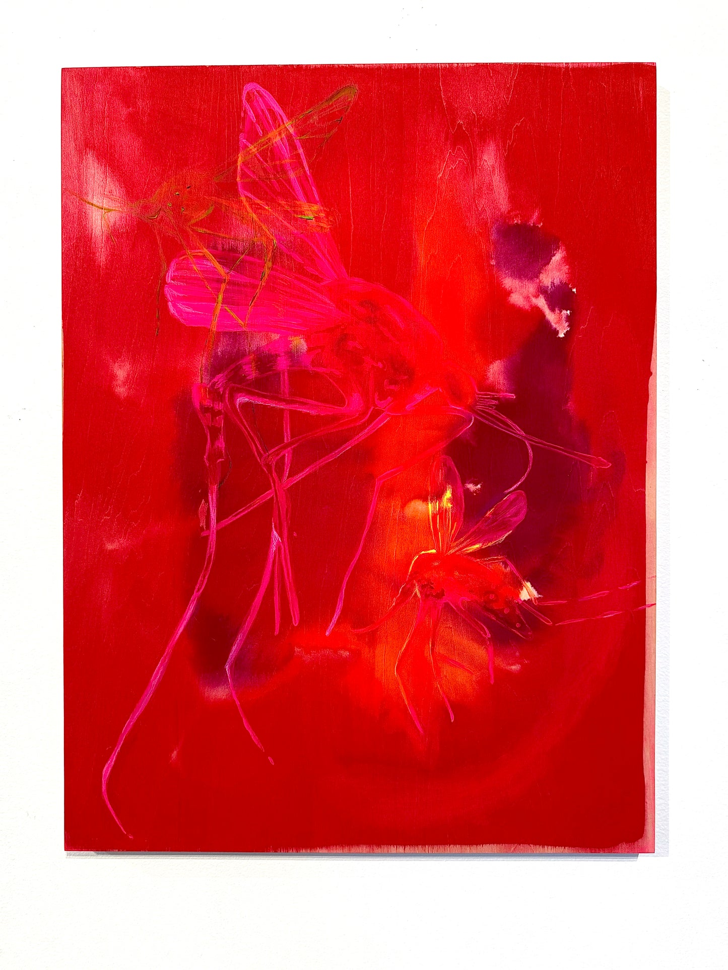 Mosquitoes print