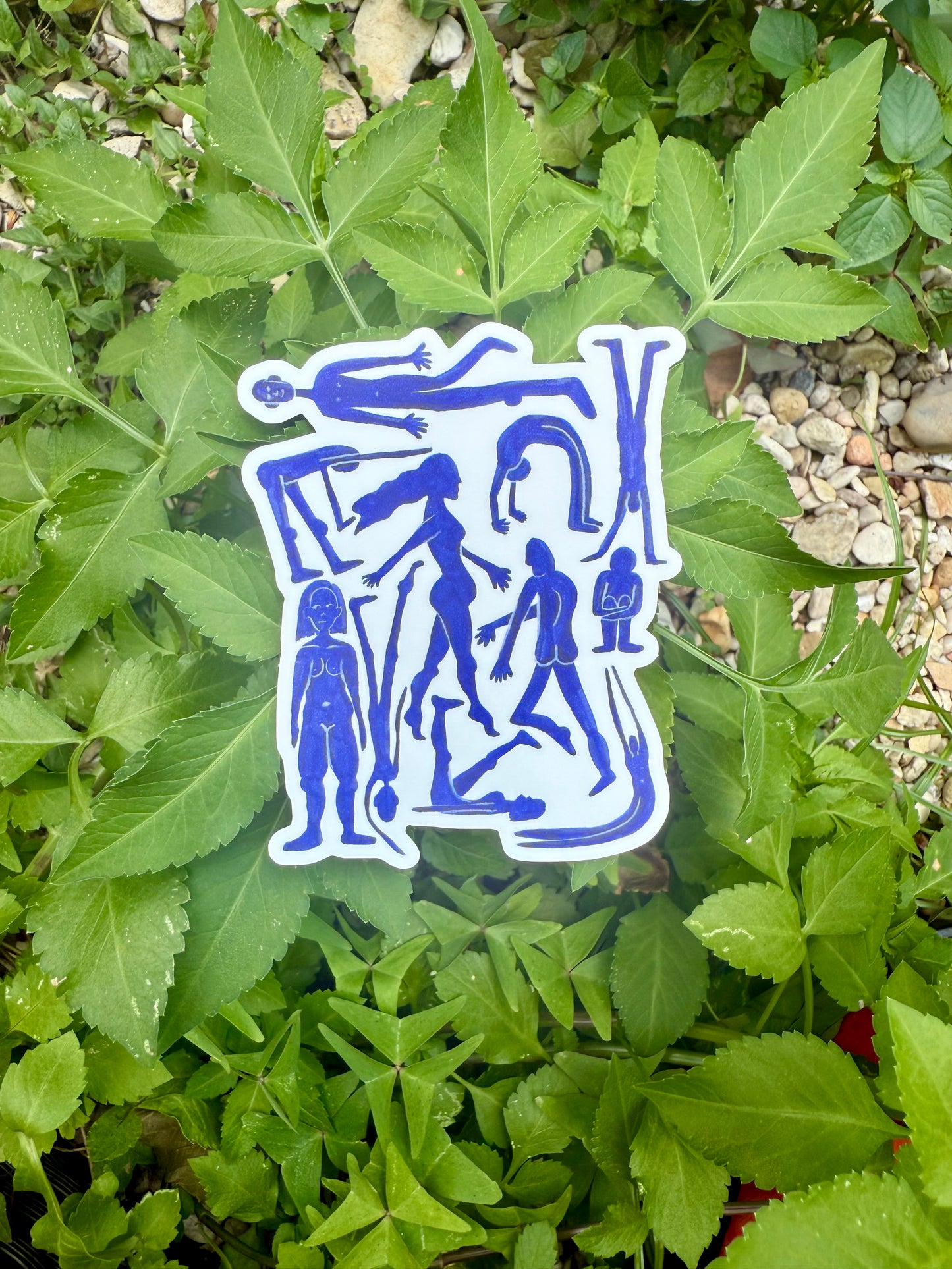 Blue Bodies sticker